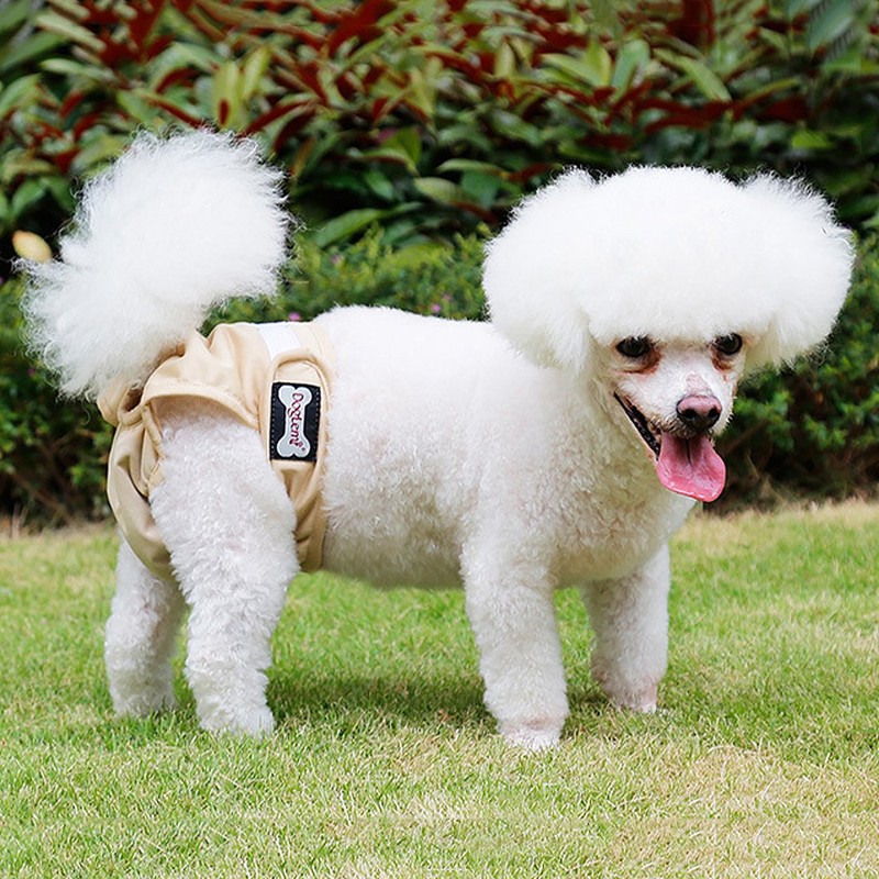 Mutandine Igieniche Per Cagne - 2 Pezzi Con Bretelle Regolabili - Foto 6