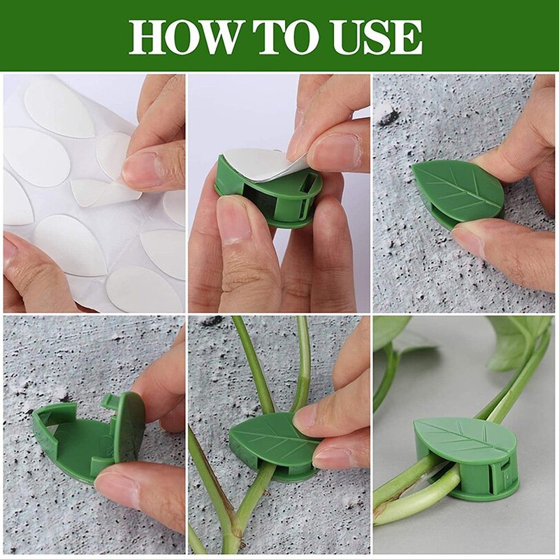 Plant Fixture Clip Climbing Wall SelfAdhesive Fastener Fixture Vine