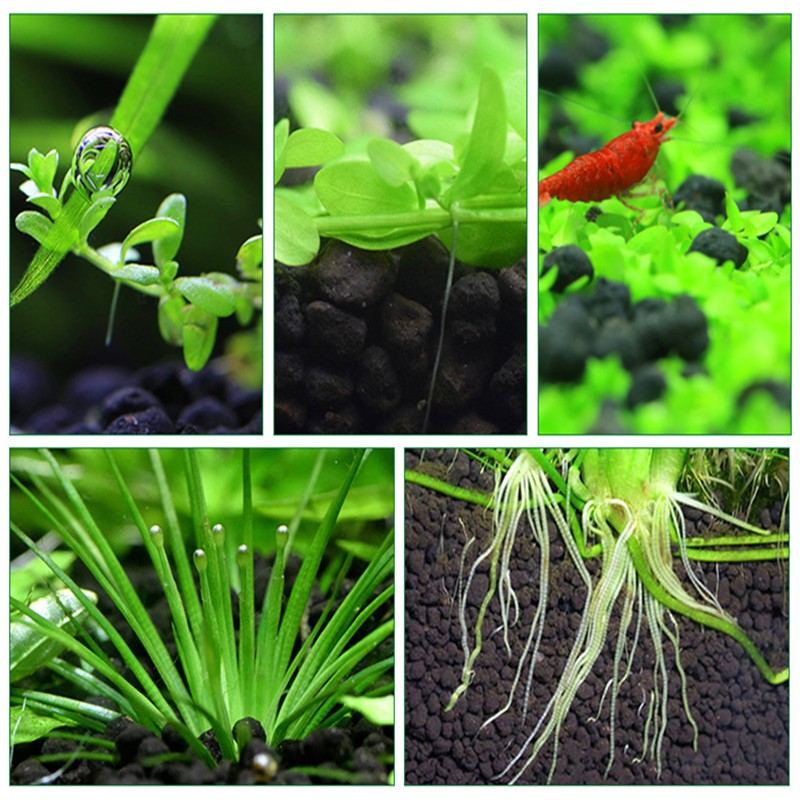 Fish Tank Water Plant Fertility Substrate Plant Soil Substrate Gravel