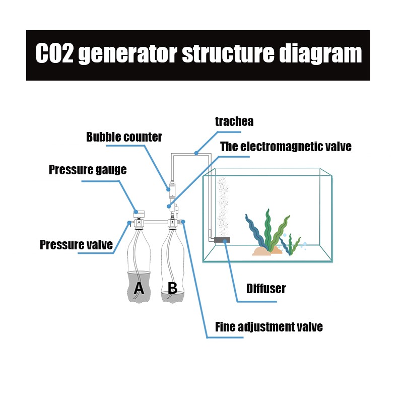 Thumbnail for Aquatic Co2 Generator DIY Tutorial