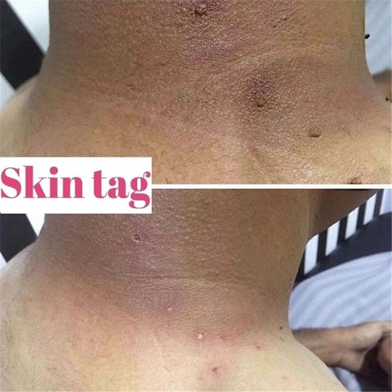 H8ba8a7212f764e2da121e2b516e84c2dT