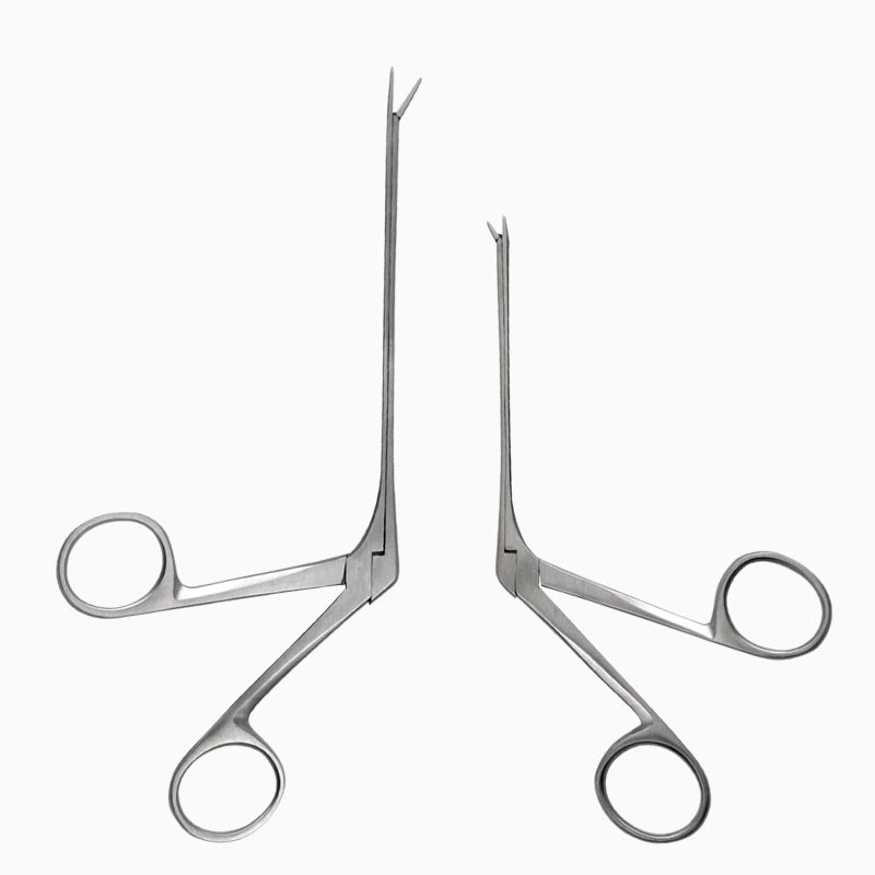 Cover big n small001