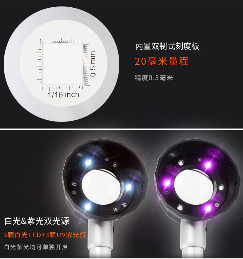 9073385461_1550514505