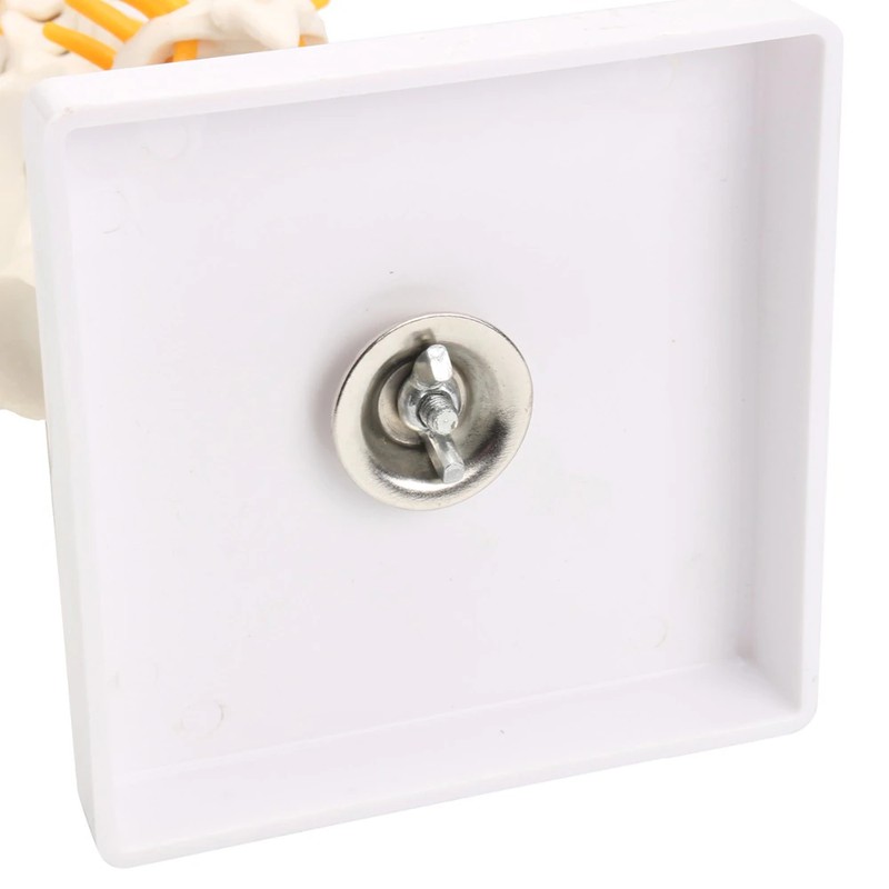 rB9kfVo7FYyAHfHuAAXZqurKods893