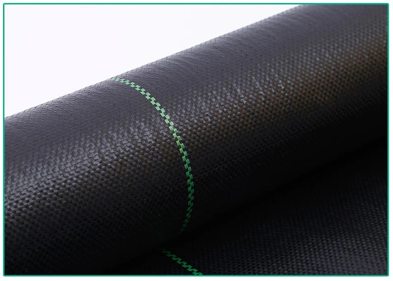 13253418036_1156558926