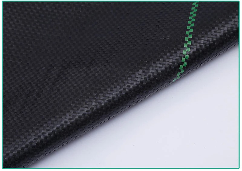 13335341475_1156558926