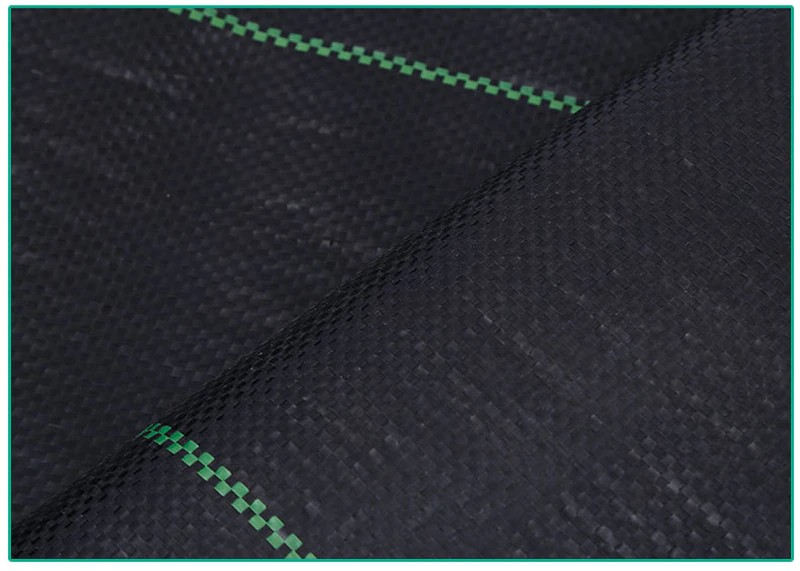 13290949476_1156558926