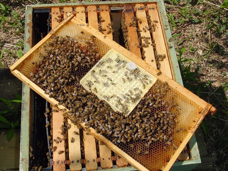 HTB1hRKrNXXXXXXbapXXq6xXFXXXJ