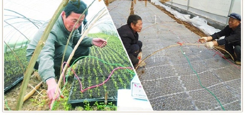 HTB1wmlrOpXXXXXtXXXXq6xXFXXXB