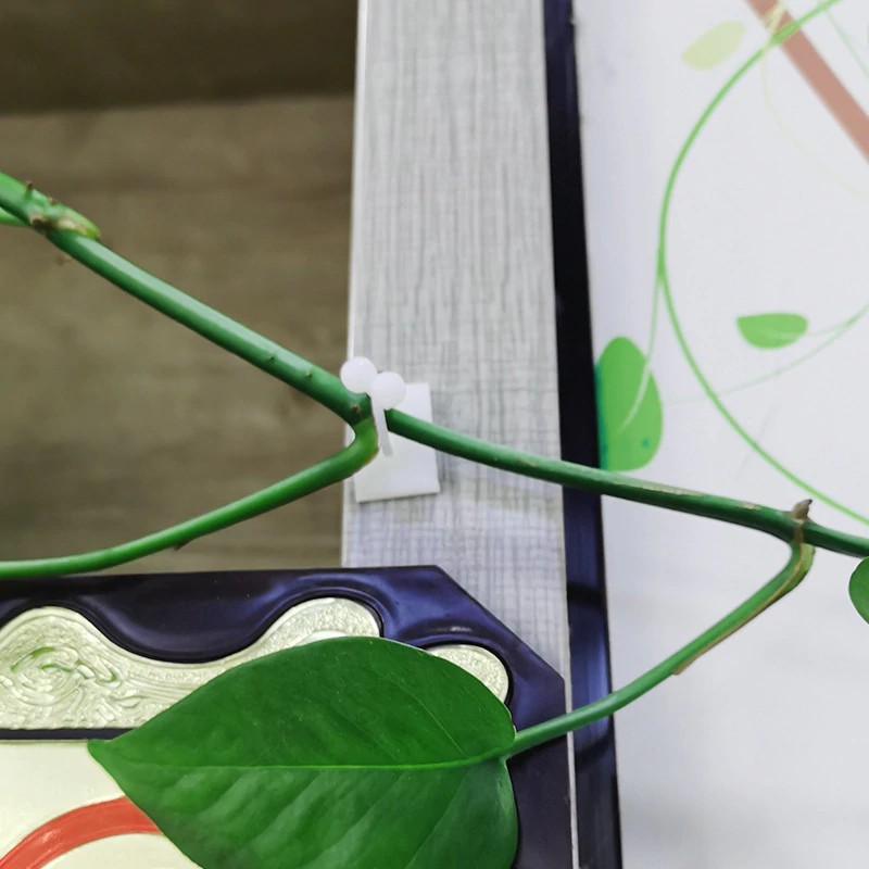 17967665607_1759821289