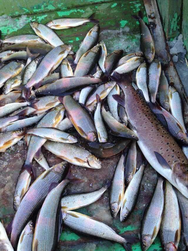 D4019CC8-48D9-4D86-878E-56CF7471330C