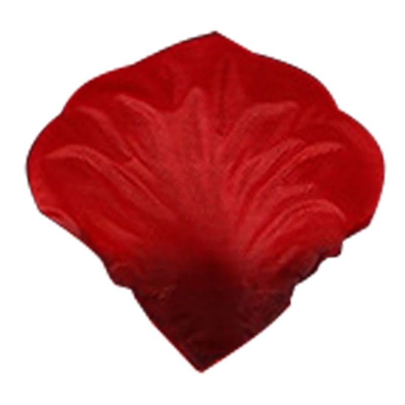 298245_no-logo_298245-1-07