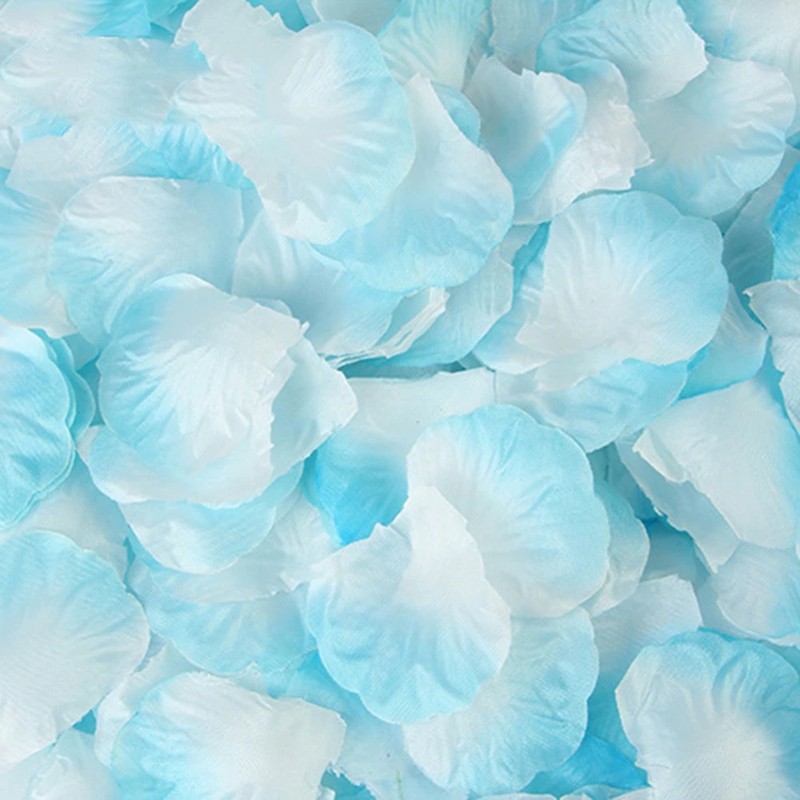 298245_no-logo_298245-2-03