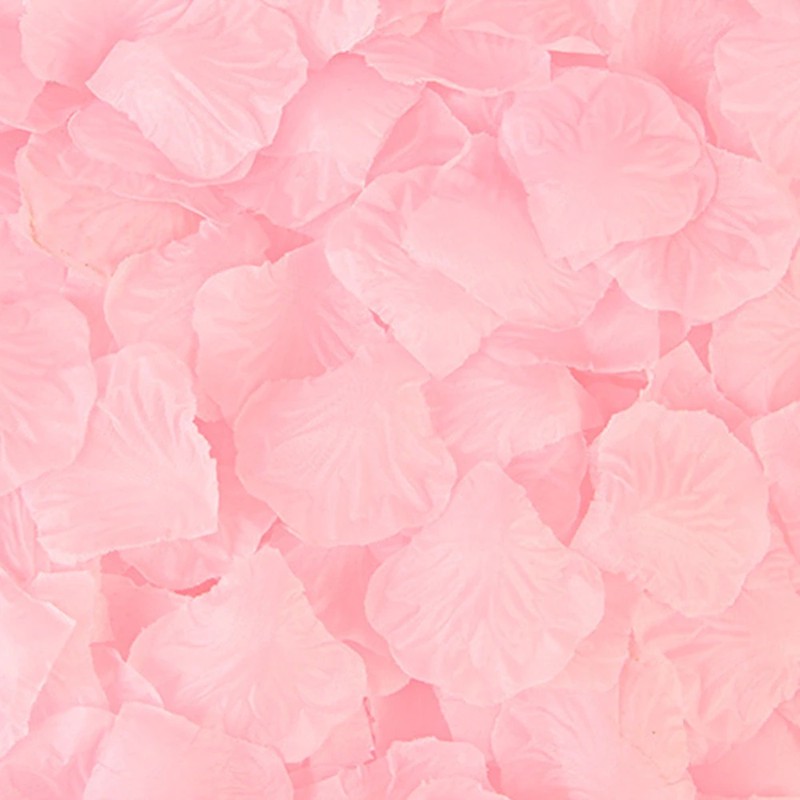 298244_no-logo_298244-2-04