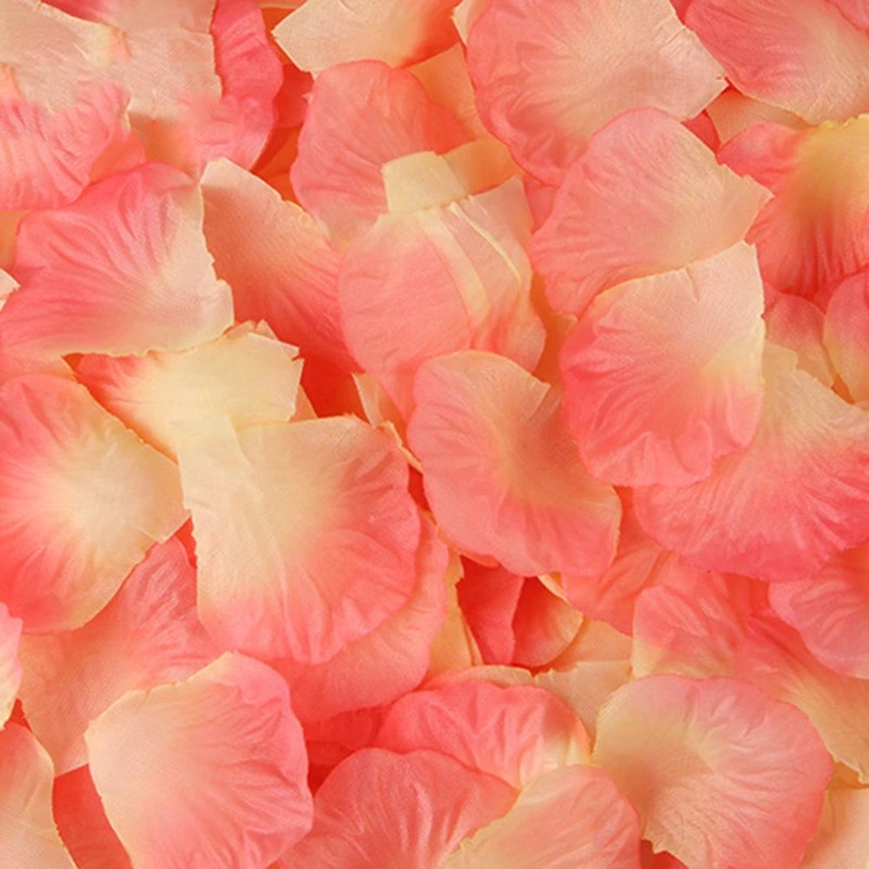 298245_no-logo_298245-2-06